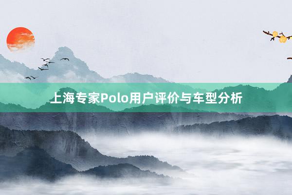 上海专家Polo用户评价与车型分析